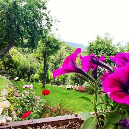 Els Refugis Del Montseny Cal Somni Сasa de vacaciones