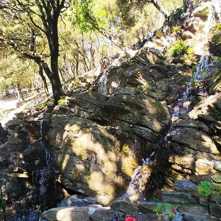 Holiday home Els Refugis Del Montseny Cal Somni San Pedro de Vilamajor