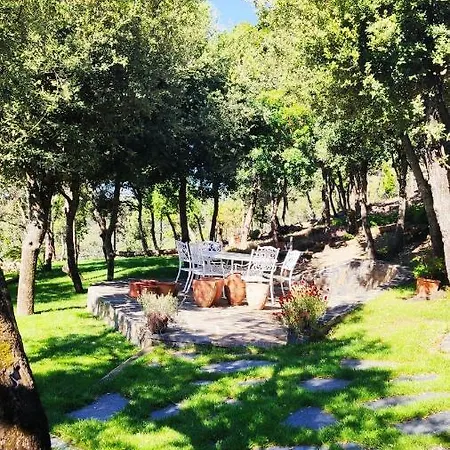 Holiday home Els Refugis Del Montseny Cal Somni